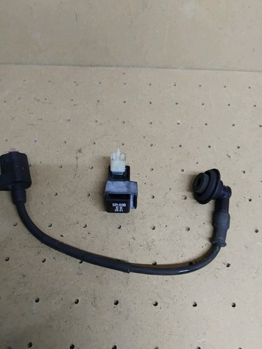 Pgo max cdi ecu coil - pgo,