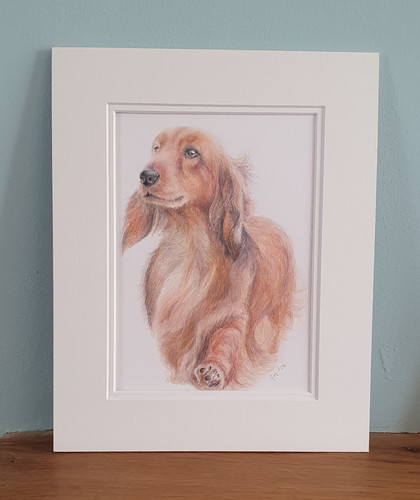 Original realism dachshund - realism, dog