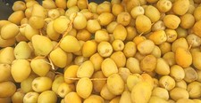 Fresh Dates 500g Next Day