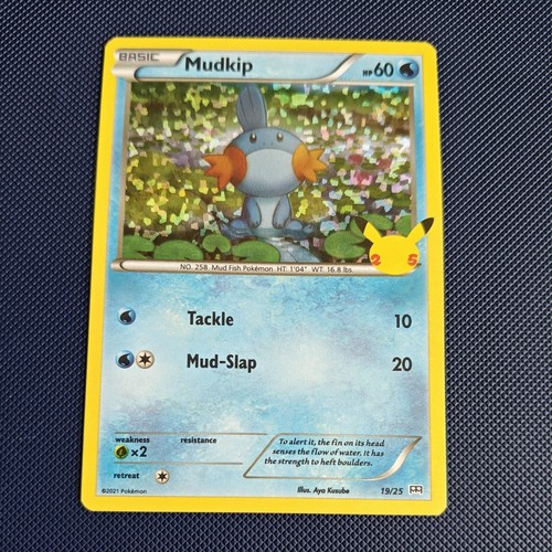 Pokémon tcg mudkip holo - tcg,