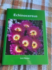 Echinocereus - Pilbeam