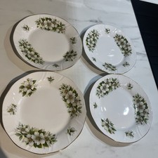 Queens Rosina Bone China Tea