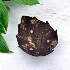 Peace With The Wild Coconut