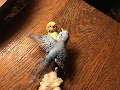 Budgeriger goebel germany - budgeriger,, w.goebel