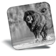 Awesome Fridge Magnet bw -