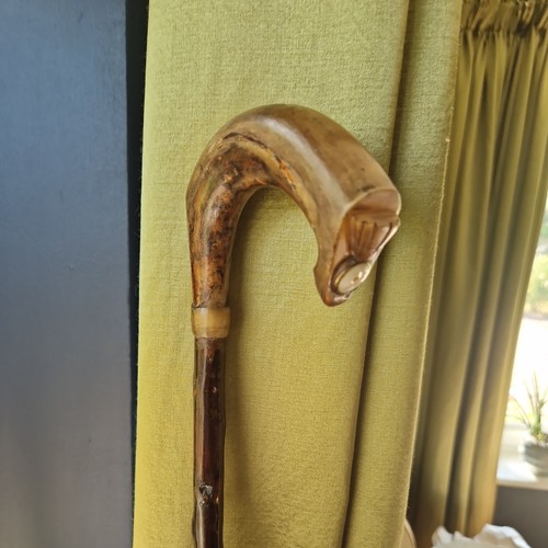 Antique walking stick - antique,