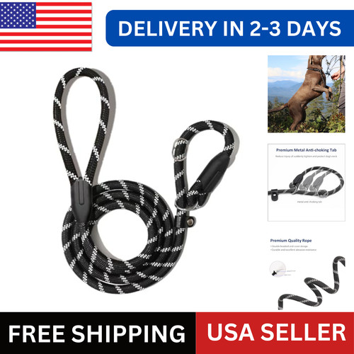 Training slip leash 6ft - slip,