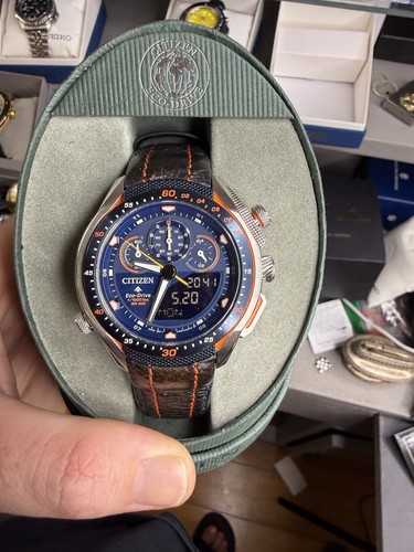 Citizen men promaster sst - promaster,
