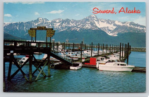 Seward alaska busy harbor - alaska,