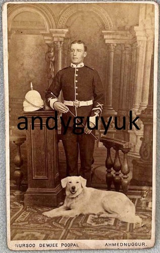 Cdv golden retriever dog - cdv,