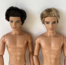 Barbie Life In The Dream House Ken Doll x2 Articulated body Rooted hair Nude