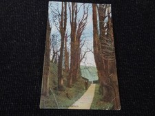 Church Avenue Kirkoswald Postcard Penrith - 110793