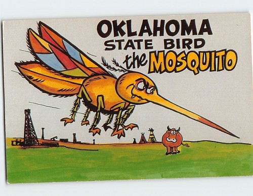 Postcard the mosquito oklahoma - mosquito,