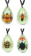 Real insect necklace pendants - real,