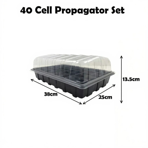 Cell propagator full size - cell,