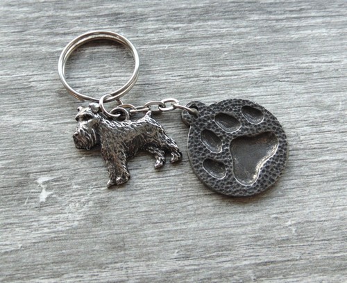 Miniature schnauzer dog paw - schnauzer, &