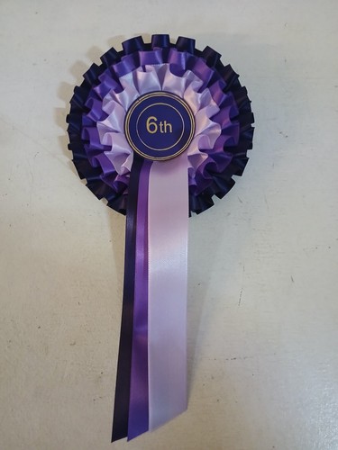 Tier rosettes 6th place - tier,
