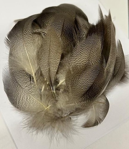 Bronze mallard feathers - bronze,