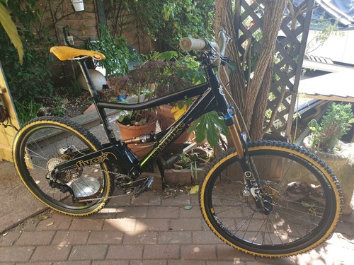 Orange pro black and gold - 5,