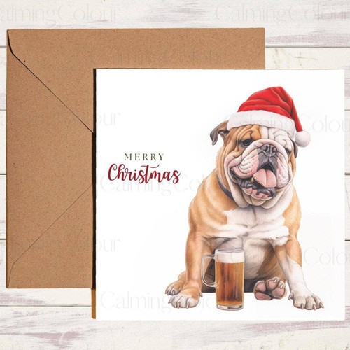 English bulldog smiling pint - english,