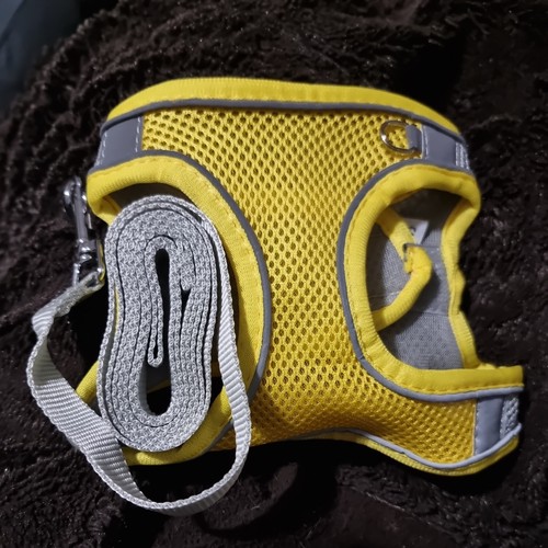 Yellow mesh rear - clip, dog