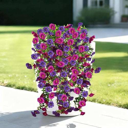 Pack resistant purple - pack, uv