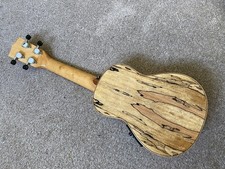 KALA  Spalted Maple  Acoustic/