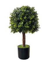 Wildwood & Cypress 24”