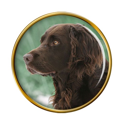 German spaniel deutscher - spaniel, (deutscher
