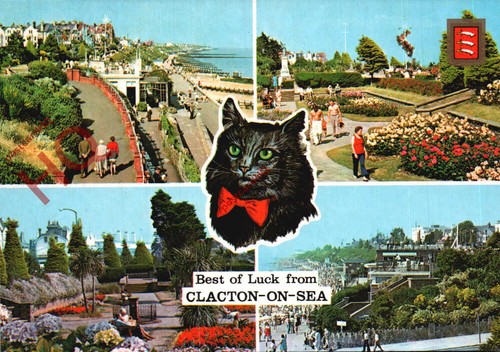 Picture postcard - picture, postcard~
