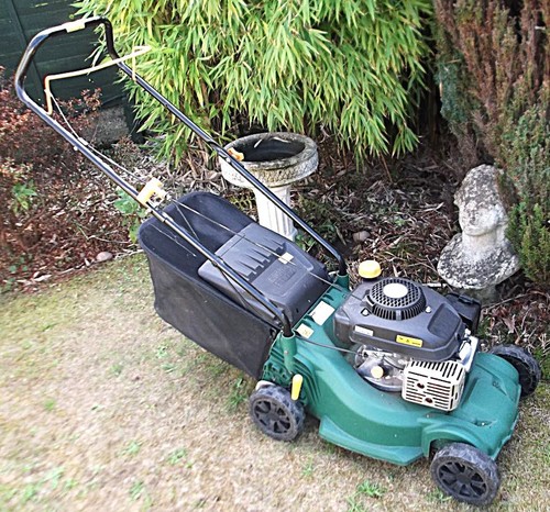 Petrol motor mower flmp129 - motor,