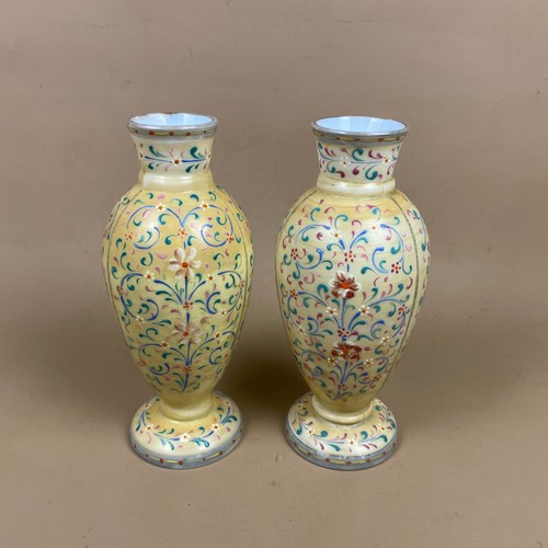 Hand painted glass vase - vase, pair