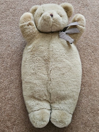 Teddy bear hot water - teddy,