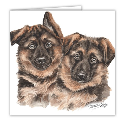 German shepherd puppies - shepherd,