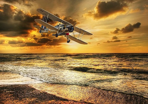 Fairey swordfish canvas prints - fairey,