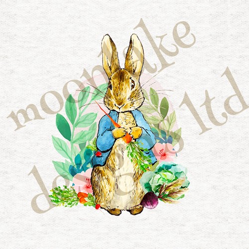 Beatrix potter peter rabbit - potter,