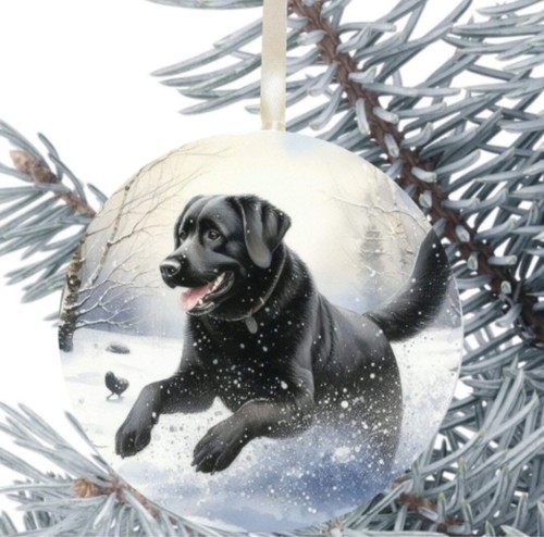 Labrador black dog hanging - labrador,