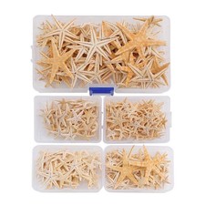 Natural Starfish Set for Resin