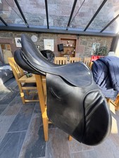 Stirlingshire Black Saddle