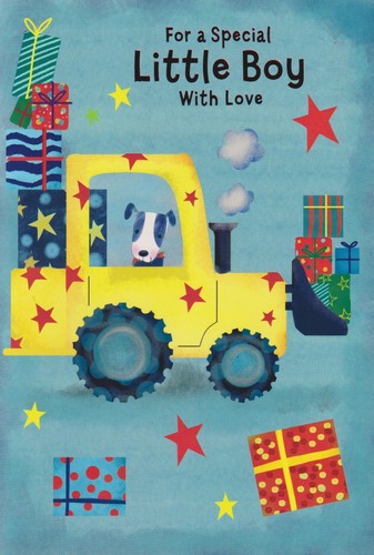 Special little boy birthday - boy,