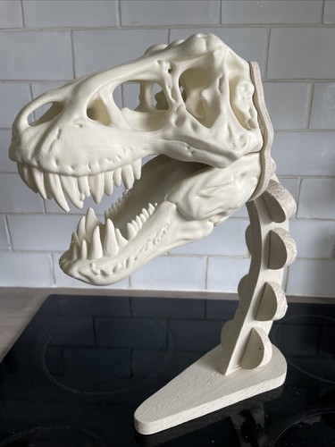 Large dinosaur skull - large, wooden