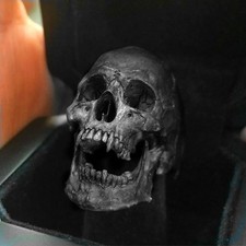 Gothic Skull Men's Alloy Ring