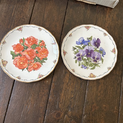 Royal albert queen - royal,
