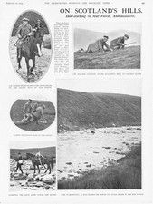 DEER STALKING in The Mar Forest, Aberdeenshire - Vintage Print 1932