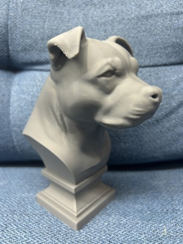 Staffordshire bull terrier - staffordshire,