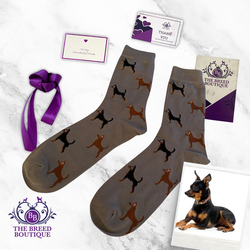 Miniature pinscher socks - pinscher,