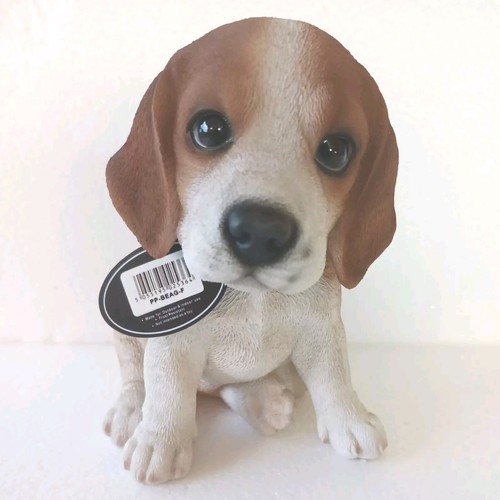 Beagle puppy pet pal - pal, vivid