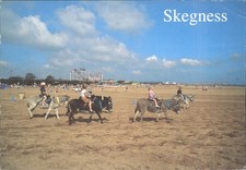 Vintage Skegness Donkey Rides