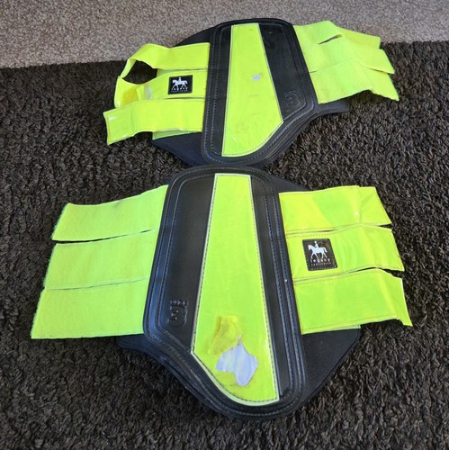 Legacy equestrian back - equestrian,