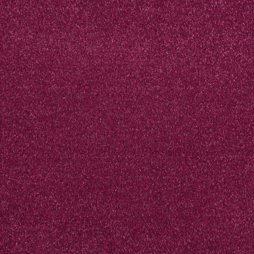 Red pink purple - purple, carpet